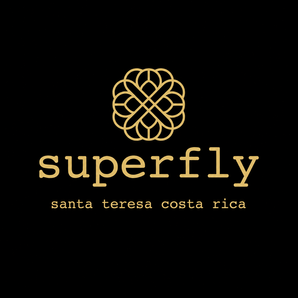 Superfly Santa Teresa Costa Rica